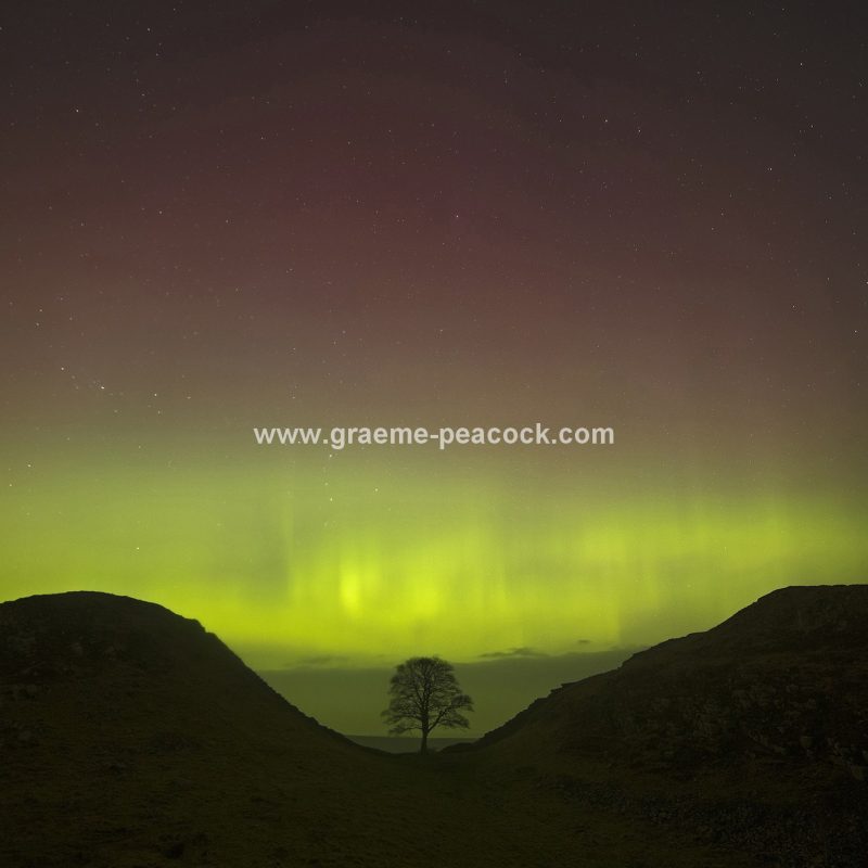 The Northern Lights above Hadrian's Wall, Northumberland National Park