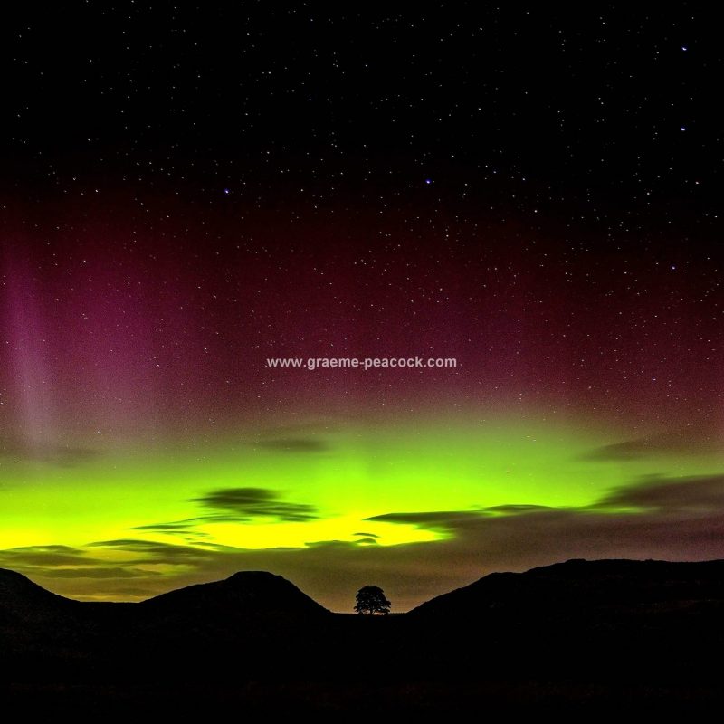 The Northern Lights above Sycamore Gap on Hadrian's Wall, Northumberland National Park