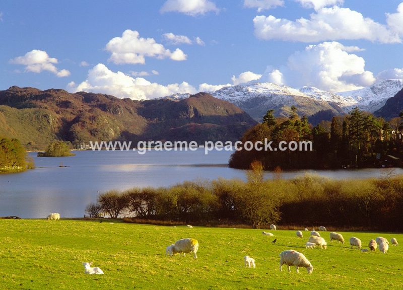 Derwentwater
