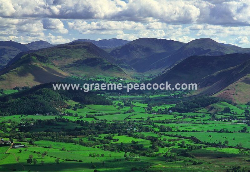 Catbells and Derwent Fells viewed from Dodd, Keswick, Cumbria, LDNP