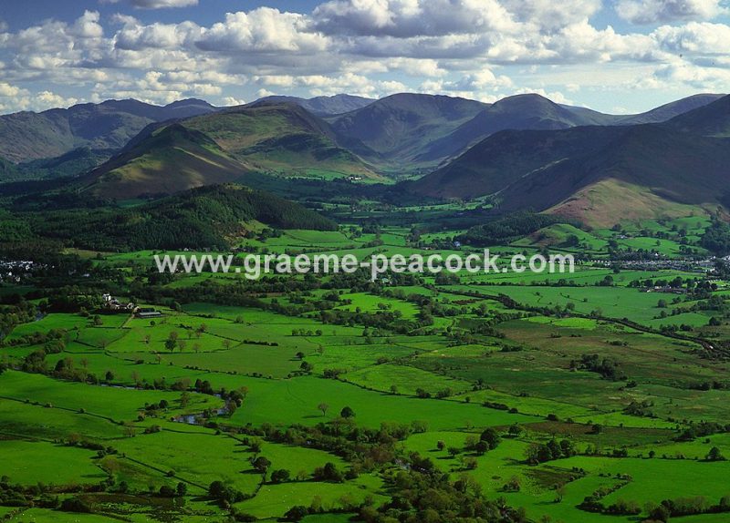 Catbells and Derwent Fells viewed from Dodd, Keswick, Cumbria, LDNP