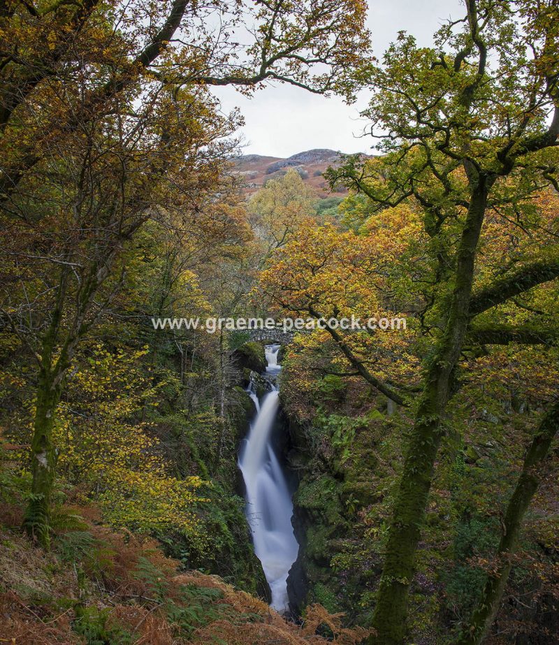 Aira Force in Autumn near Watermillock, Lake District National Park, Cumbria