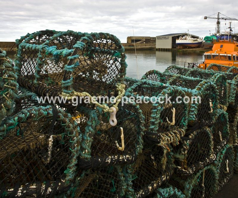 Buckie harbour,  Buckie,  Moray