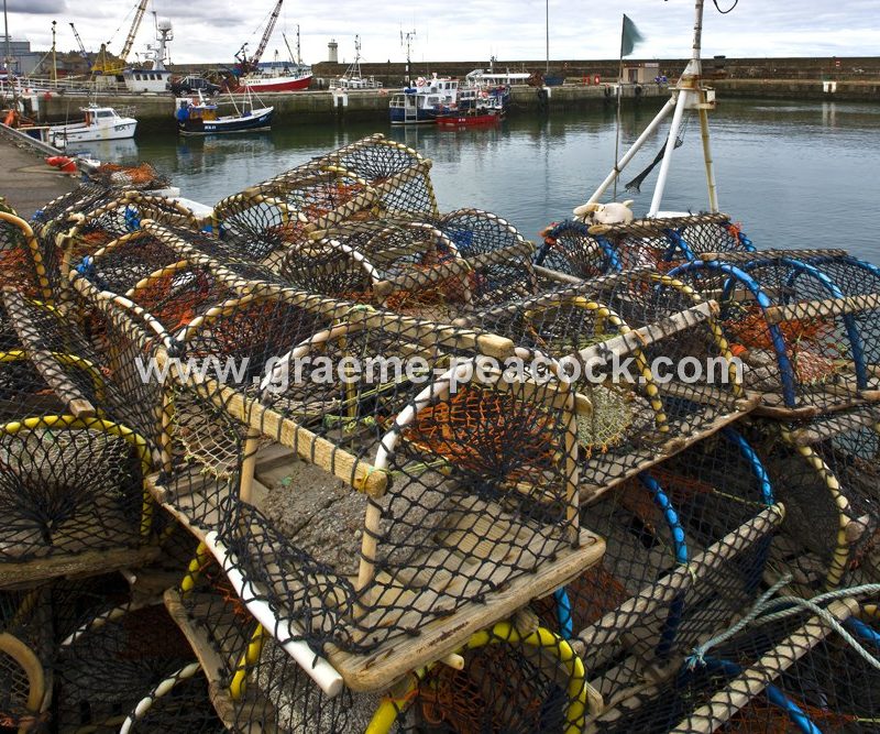 Buckie harbour,  Buckie,  Moray