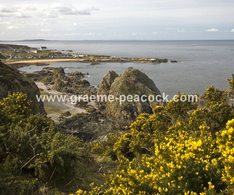 Rocks near Findochty,  Moray,  Scotland