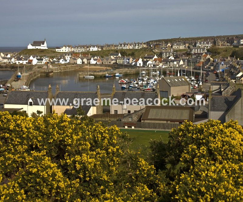 Findochty village and harbour,  Findochty,  Moray,  Scotland