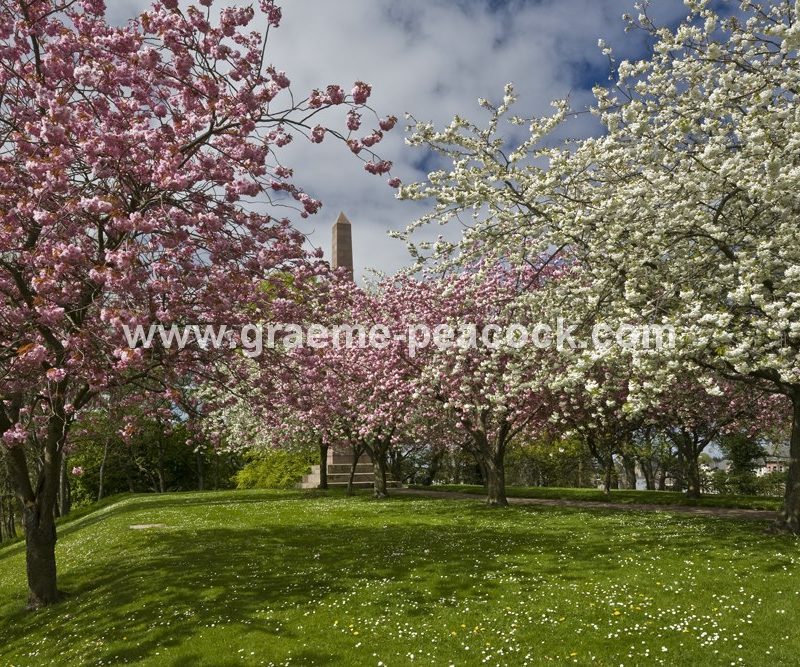 Grant Park,  Forres,  Moray,  Scotland