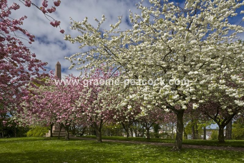 Grant Park,  Forres,  Moray,  Scotland