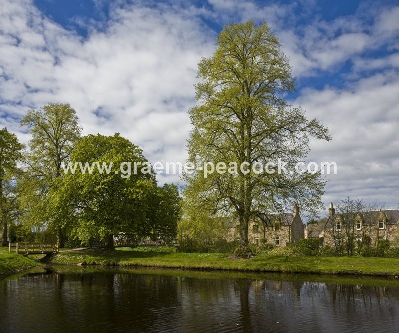 Sanquhar Loch,  Forres,  Moray,  Scotland