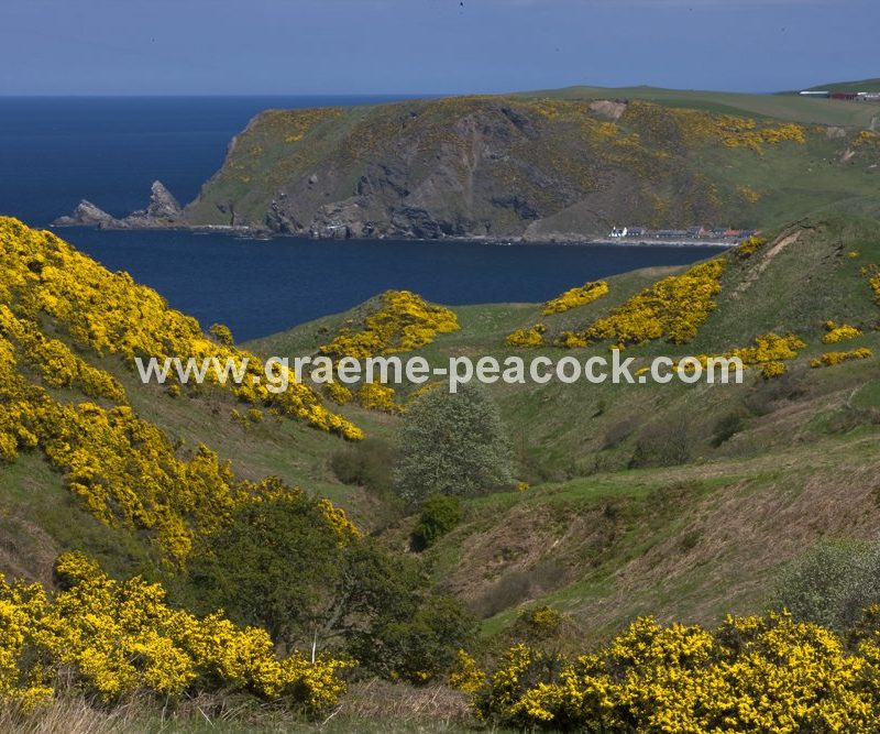 Gardenstown, Aberdeenshire,  Scotland