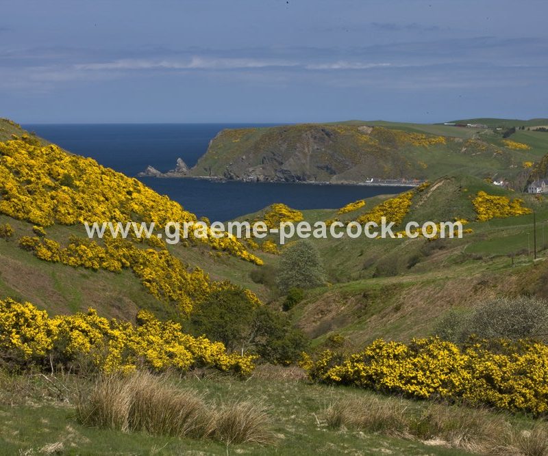 Gardenstown, Aberdeenshire,  Scotland