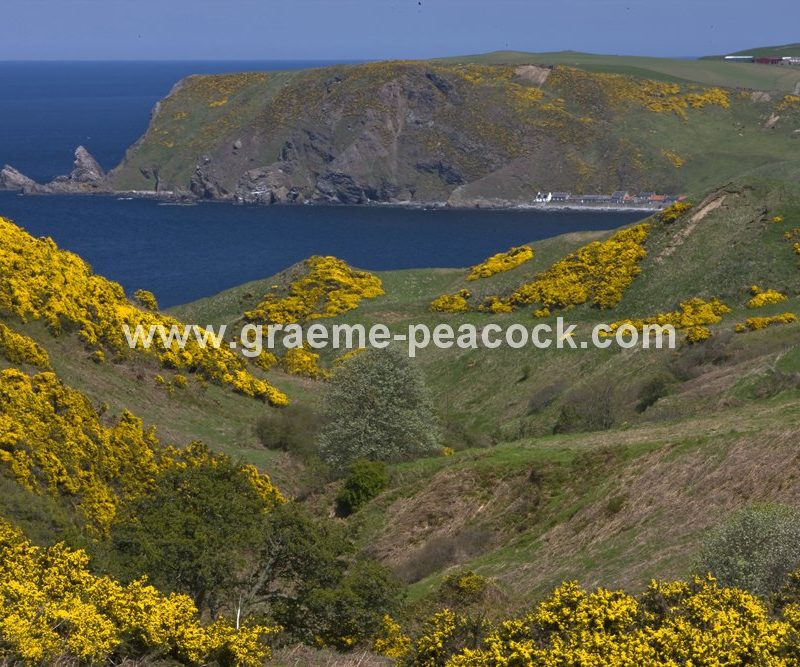 Gardenstown, Aberdeenshire,  Scotland