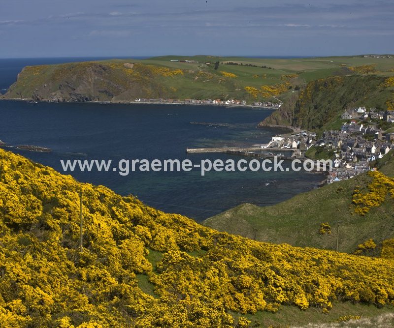 Harbour and village at Gardenstown,  Aberdeenshire,  Scotland