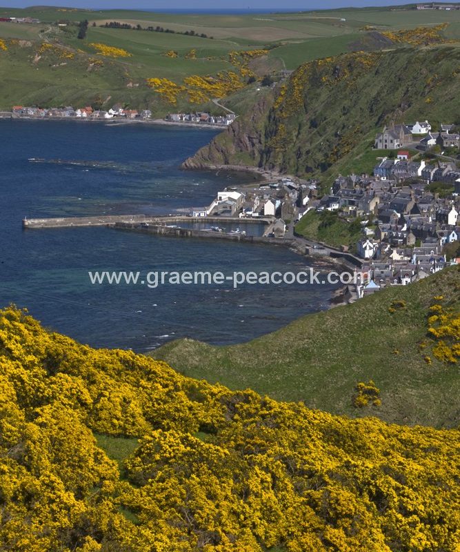 Harbour and village at Gardenstown,  Aberdeenshire,  Scotland