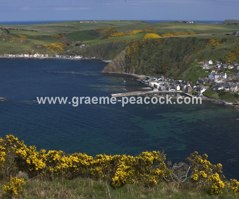 Harbour and village at Gardenstown,  Aberdeenshire,  Scotland