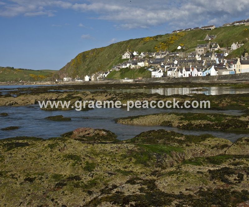 Harbour and village at Gardenstown,  Aberdeenshire,  Scotland