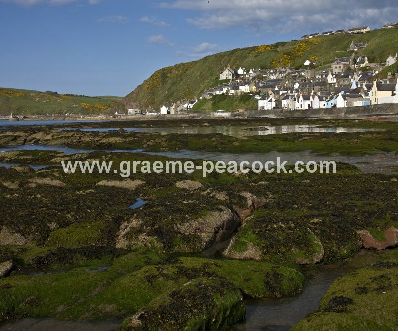 Harbour and village at Gardenstown,  Aberdeenshire,  Scotland