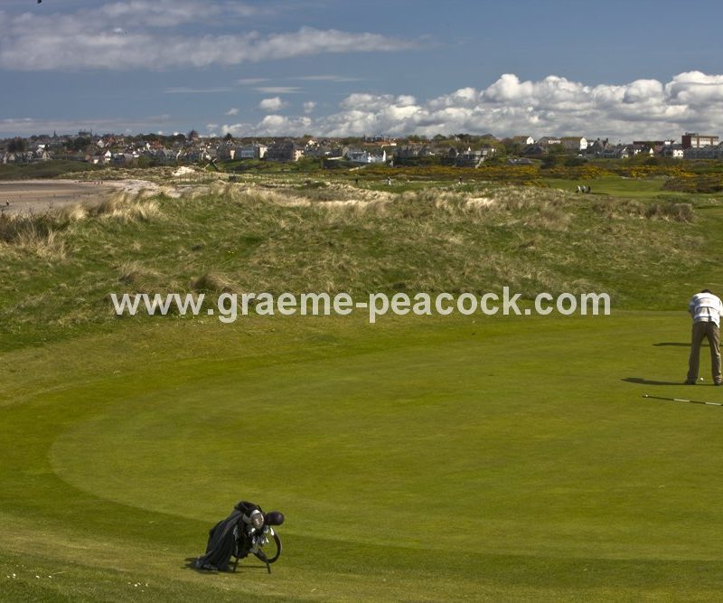 10th Green,  Moray Golf Club,  Lossiemouth,  Moray,  Scotland