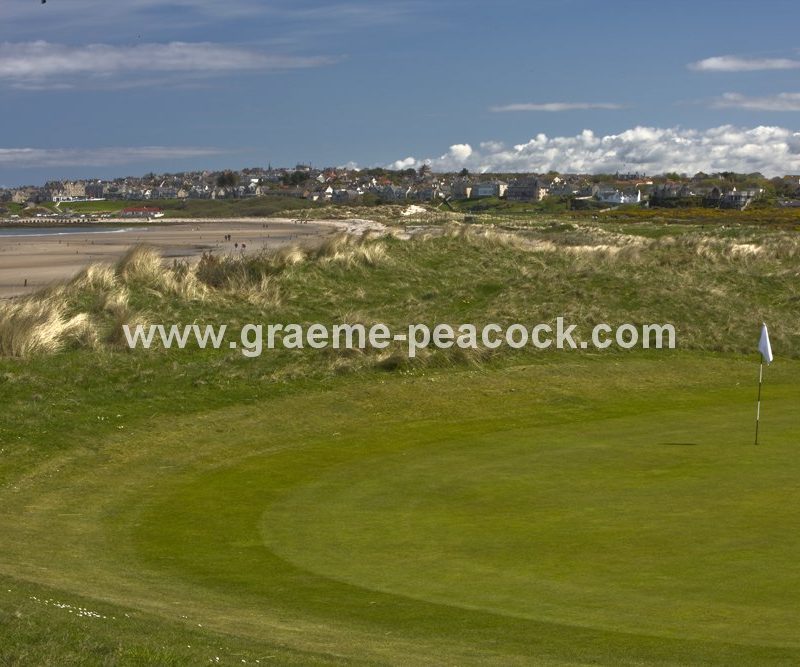 10th Green,  Moray Golf Club,  Lossiemouth,  Moray,  Scotland
