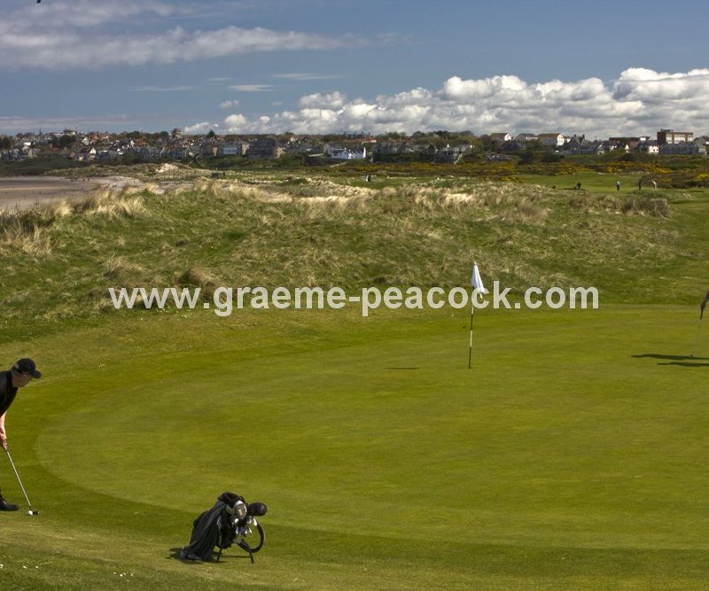 10th Green,  Moray Golf Club,  Lossiemouth,  Moray,  Scotland