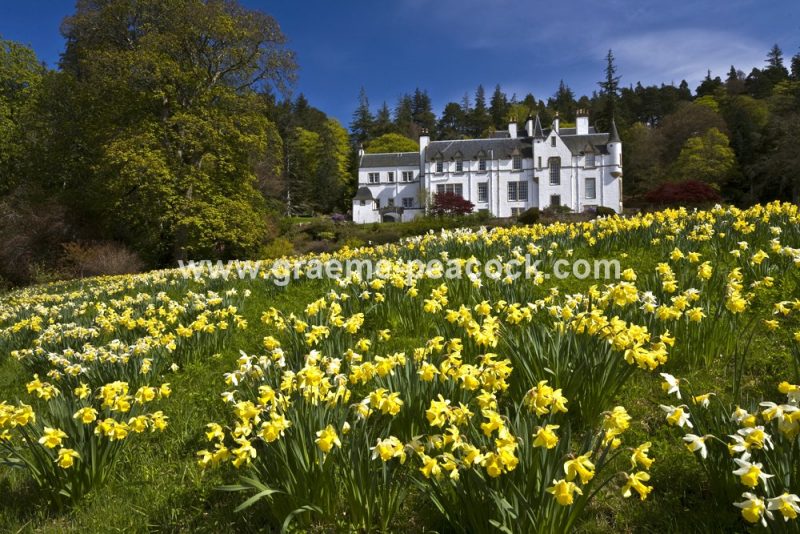 Logie Steading in spring, Logie Steadings near Forres, Moray, Scotland