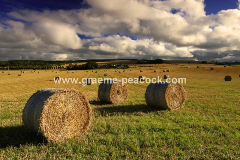Hay Bales near Portknockie, Buckie, Moray