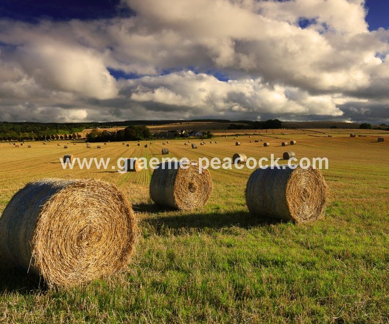 Hay Bales near Portknockie, Buckie, Moray