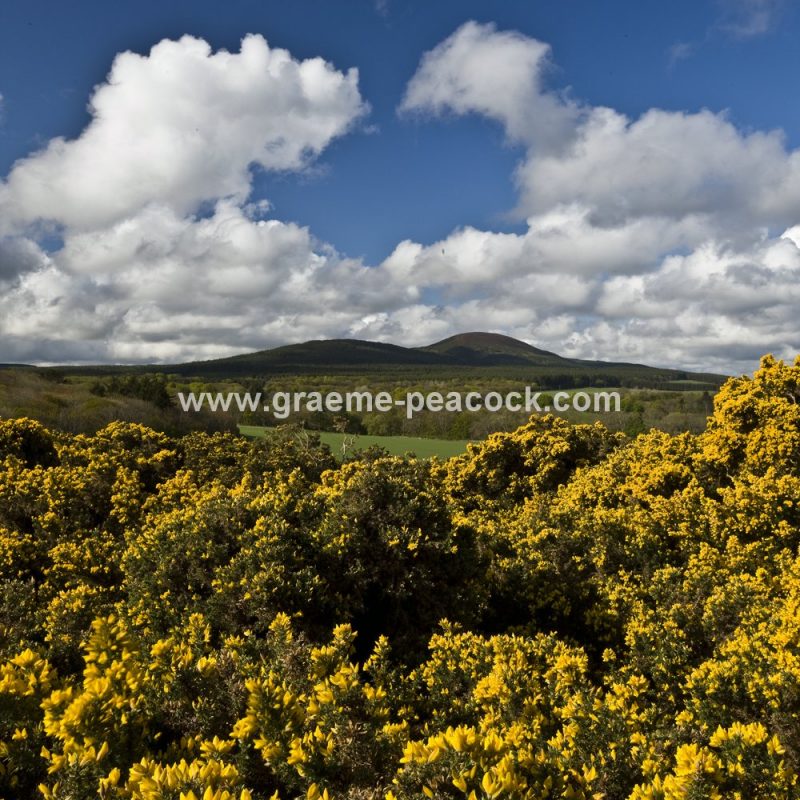 The Bin Hill near Cullen, Moray, Scotland