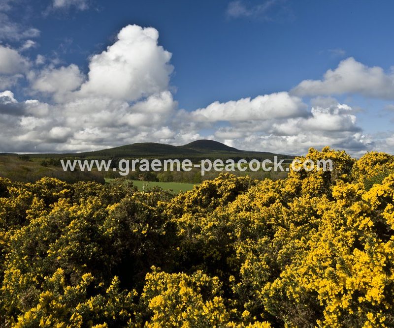 The Bin Hill near Cullen, Moray, Scotland