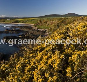 Panoramic view of Cullen beach from Portknockie, Cullen, Moray