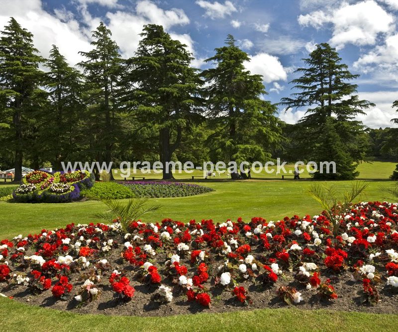Floral displays at Grant Park, Forres, Moray, Scotland