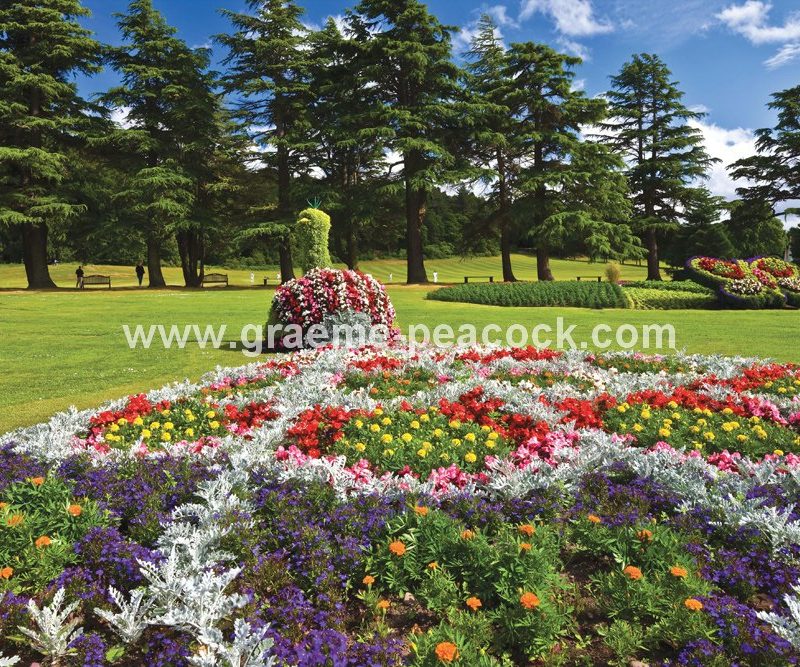 Floral displays at Grant Park, Forres, Moray, Scotland