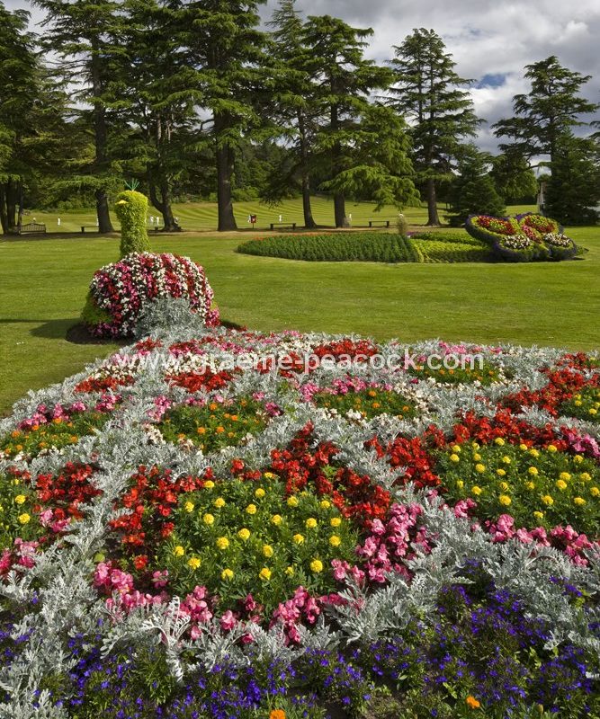 Floral displays at Grant Park, Forres, Moray, Scotland