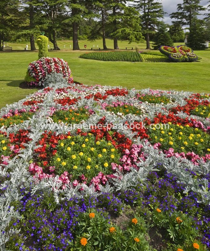 Floral displays at Grant Park, Forres, Moray, Scotland