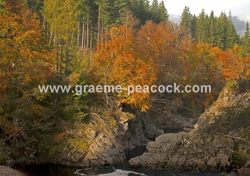 Randolph's Leap and River Findhorn near Forres, Moray, North East Scotland