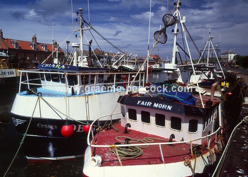 Eyemouth Harbour, Scottish Borders