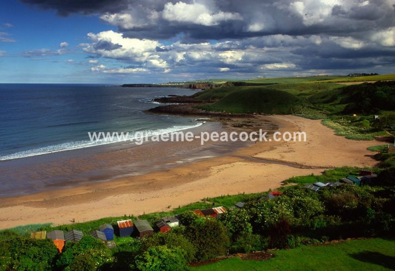 Coldingham Bay, Coldingham, Scottish Borders