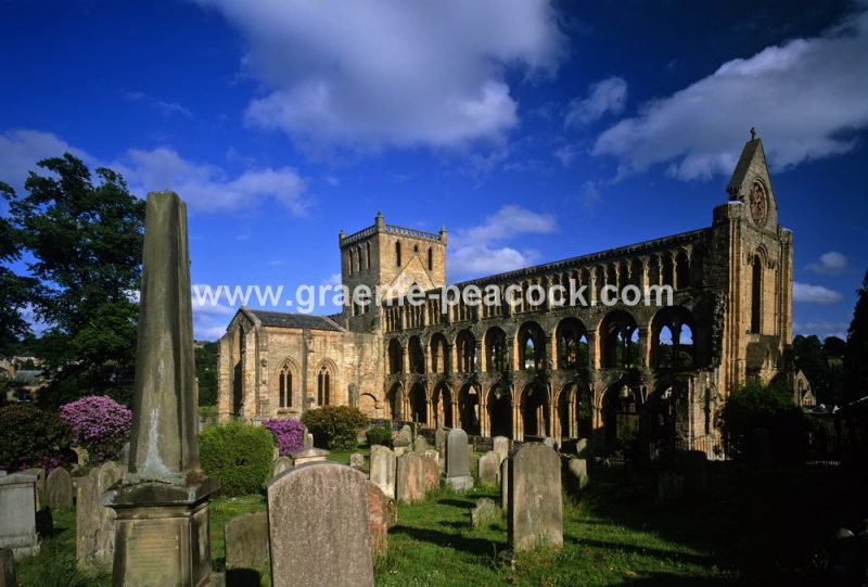 Jedburgh Abbey,  Jedburgh,  Scottish Borders