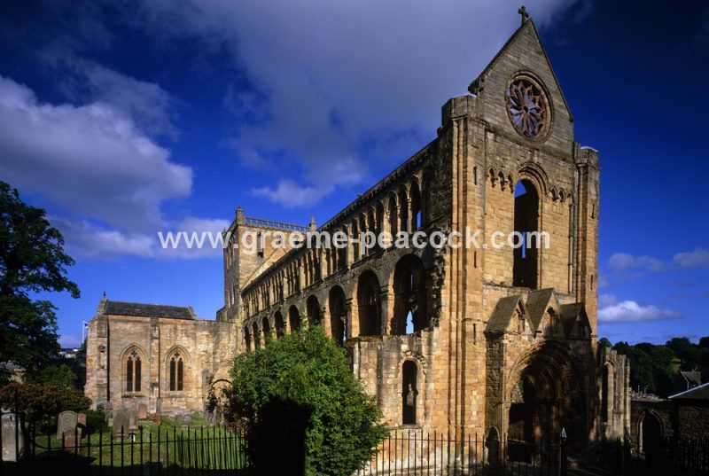 Jedburgh Abbey,  Jedburgh,  Scottish Borders