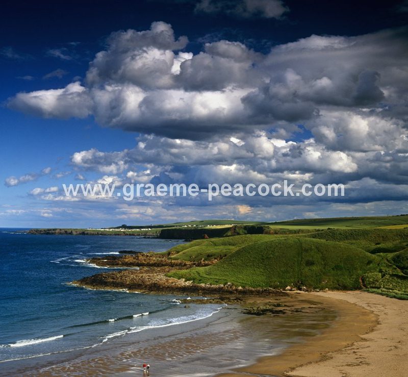 Coldingham Bay near Scottish Borders, Scotland