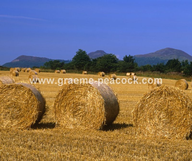 Eildon Hills near Melrose,  Scottish Borders