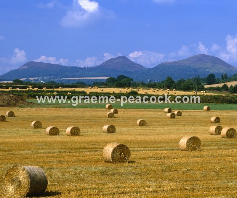 Eildon Hills near Melrose,  Scottish Borders