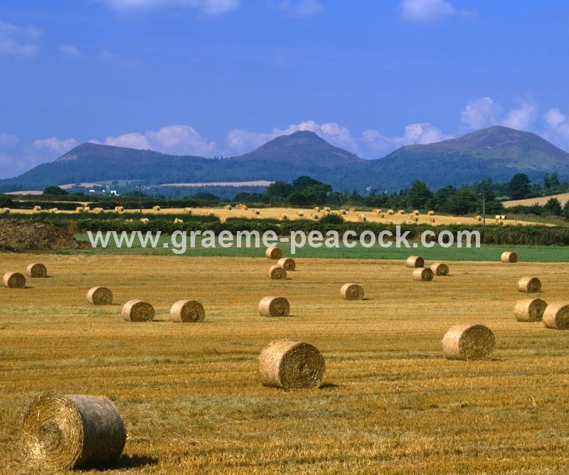 Eildon Hills near Melrose,  Scottish Borders