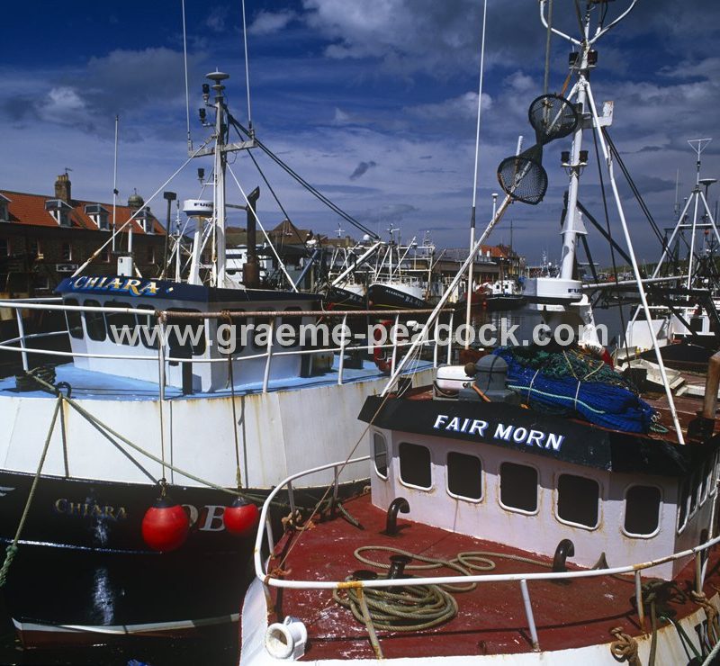 Eyemouth Harbour,  Eyemouth,  Scottish Borders