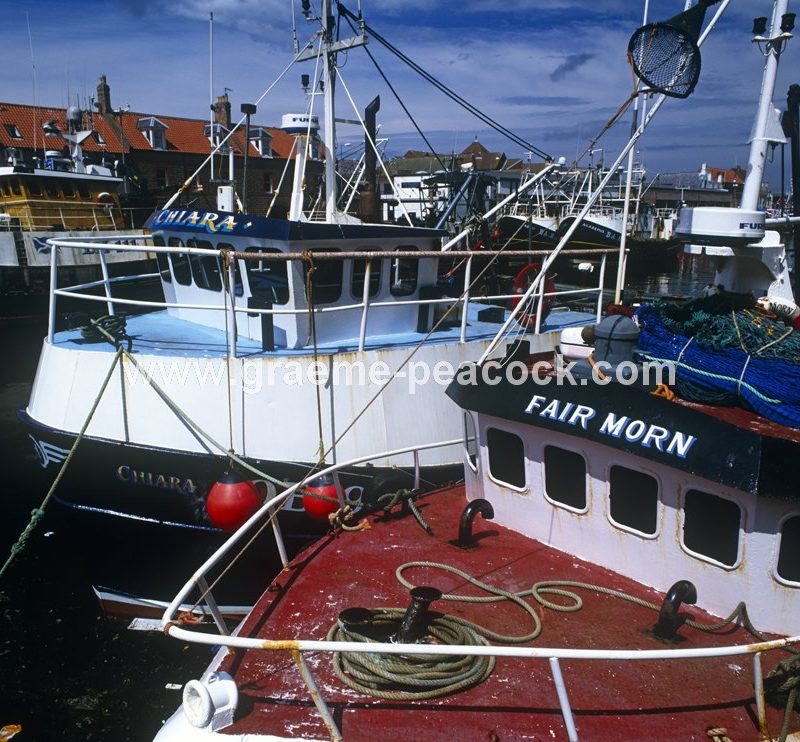 Eyemouth Harbour,  Eyemouth,  Scottish Borders
