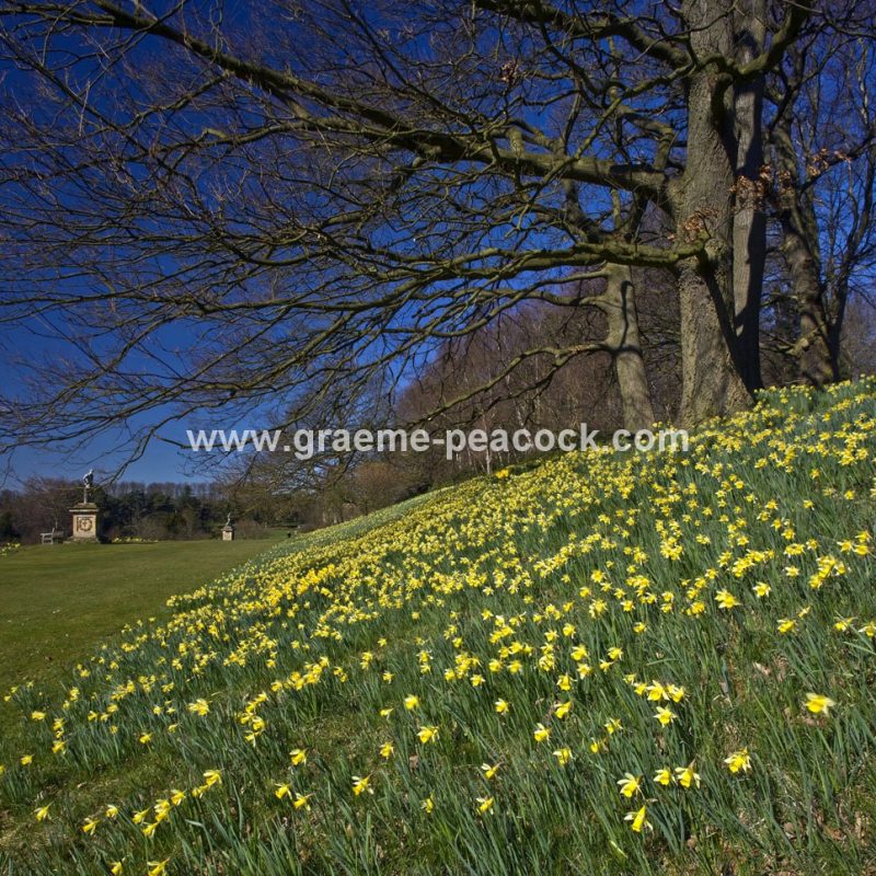 Castle Howard Estate, near York, North Yorkshire
