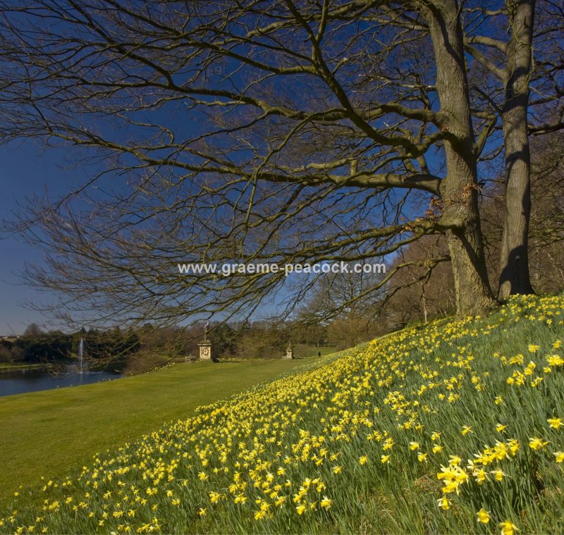 Castle Howard Estate, near York, North Yorkshire
