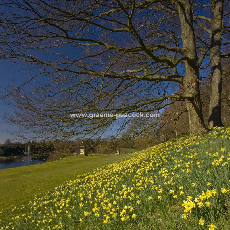 Castle Howard Estate, near York, North Yorkshire