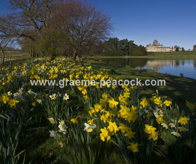 Castle Howard Estate, near York, North Yorkshire