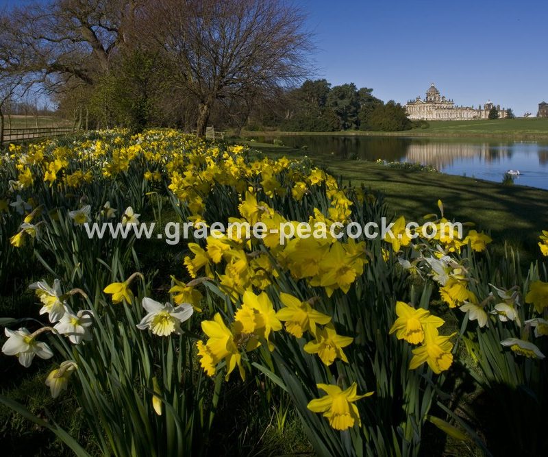 Castle Howard Estate, near York, North Yorkshire